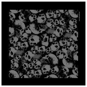 Hot Leathers BAB1063 Ancient Skulls Bandana