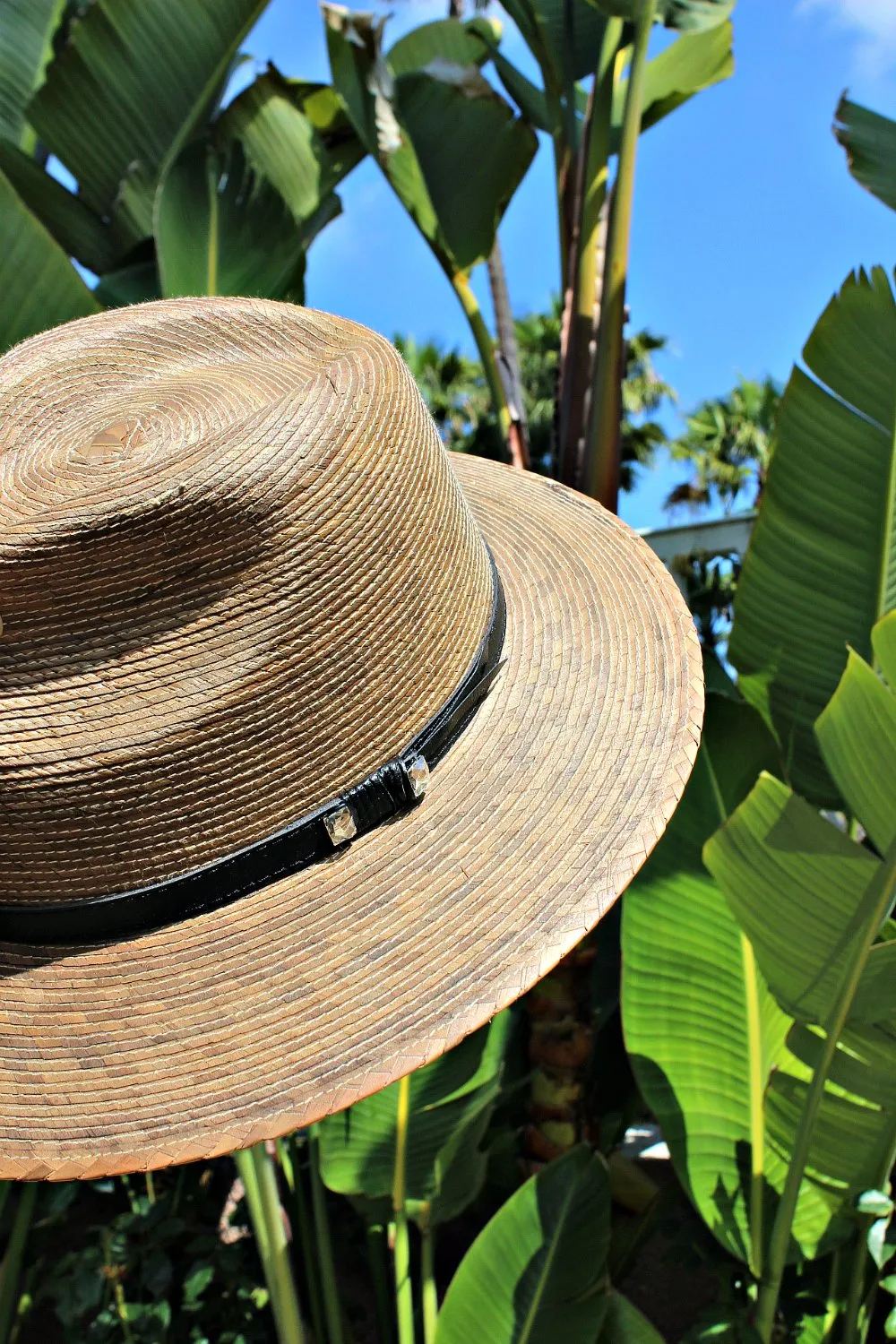 The Pressed Palm Crystallized Straw Hat