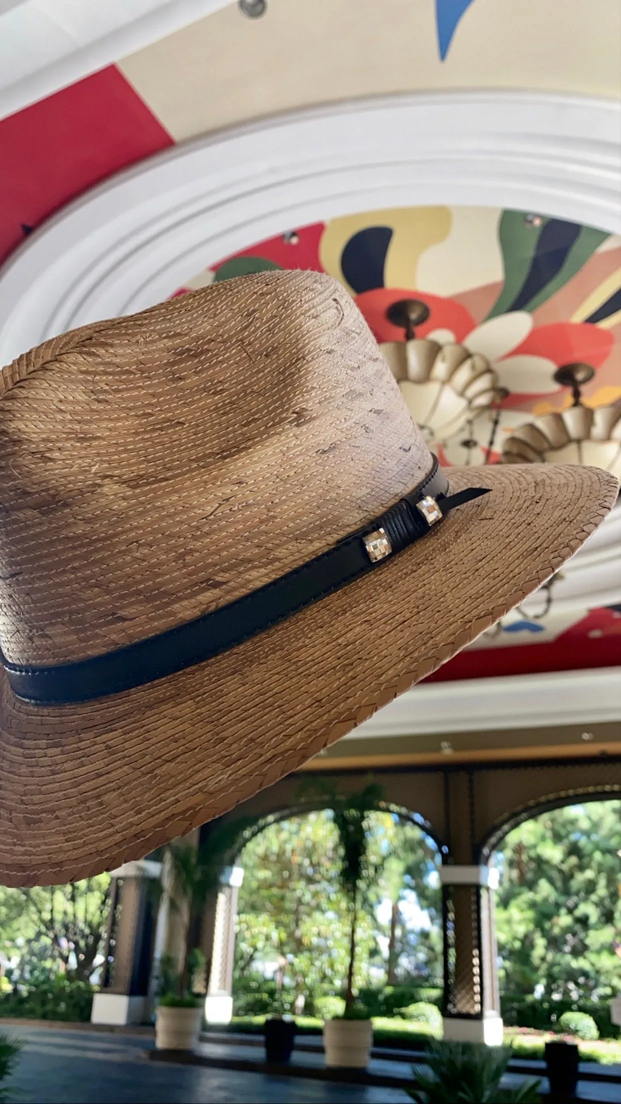 The Pressed Palm Crystallized Straw Hat