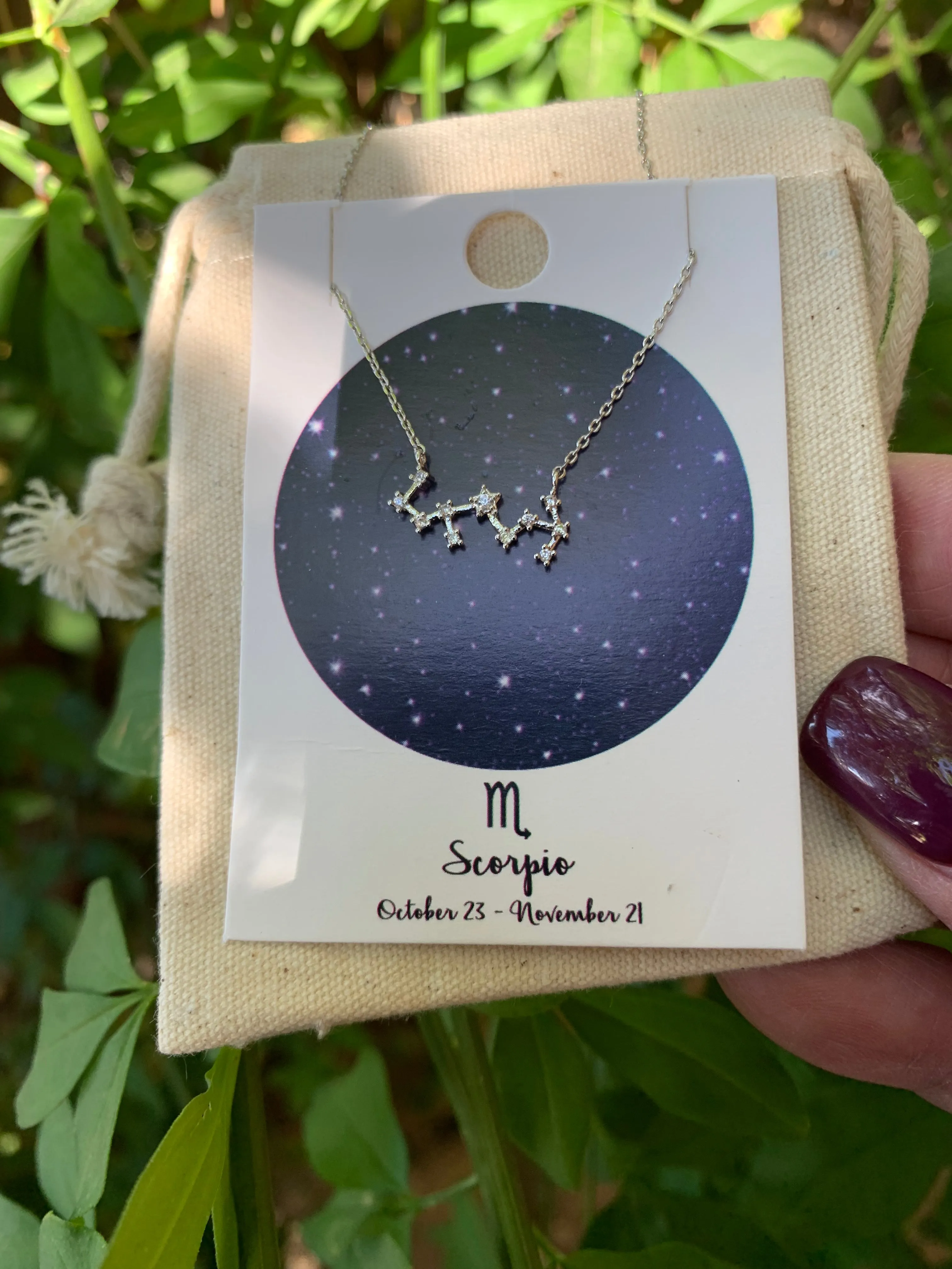Zodiac Sign Rhodium Necklaces